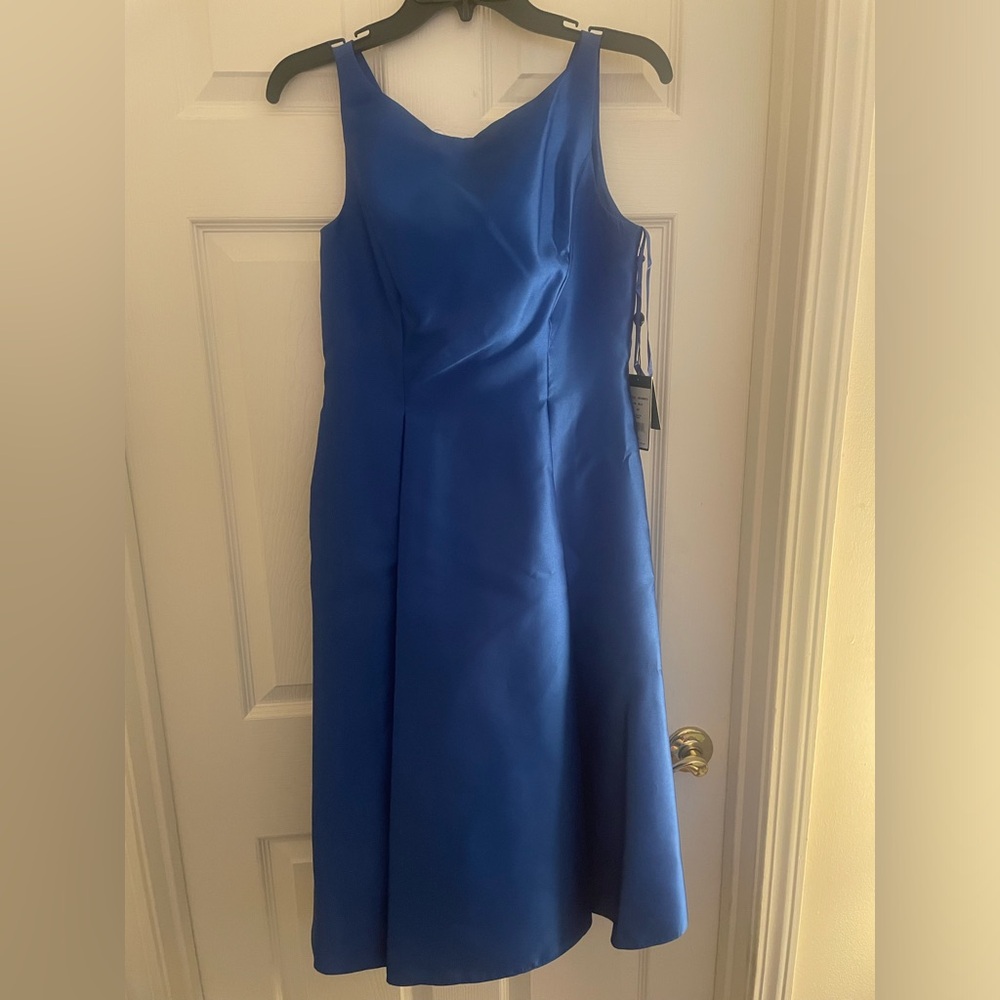 Formal Sleeveless Tea Length Blue Dress (Adrianna Papell, 6 Petite)